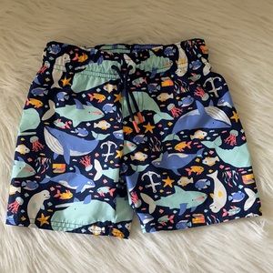 Cat & Jack Swim Trunks